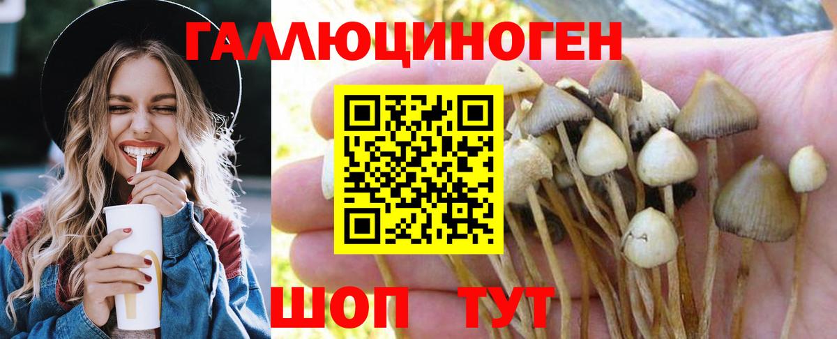 Галлюциногенные грибы Psilocybe  Вход с VPN  Псилоцибиновые грибы мухоморы  Обнинск 